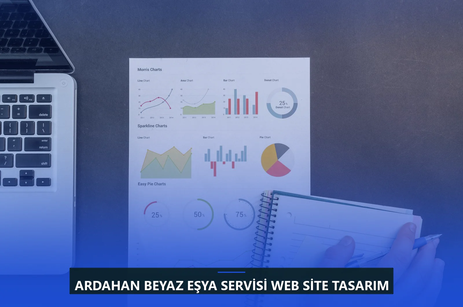 Ardahan Beyaz Eşya Servisi Web Site Tasarım