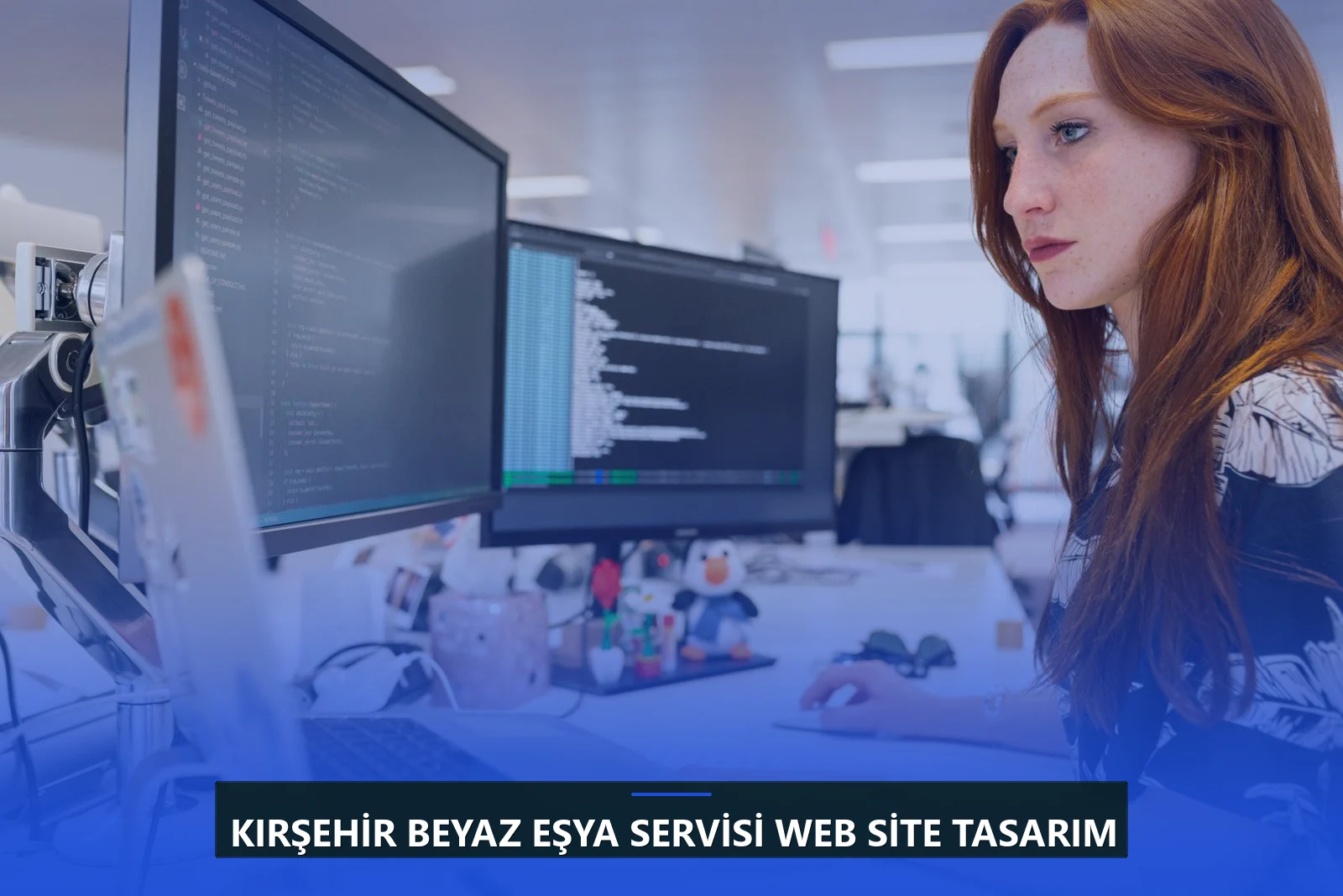 Kırşehir Beyaz Eşya Servisi Web Site Tasarım
