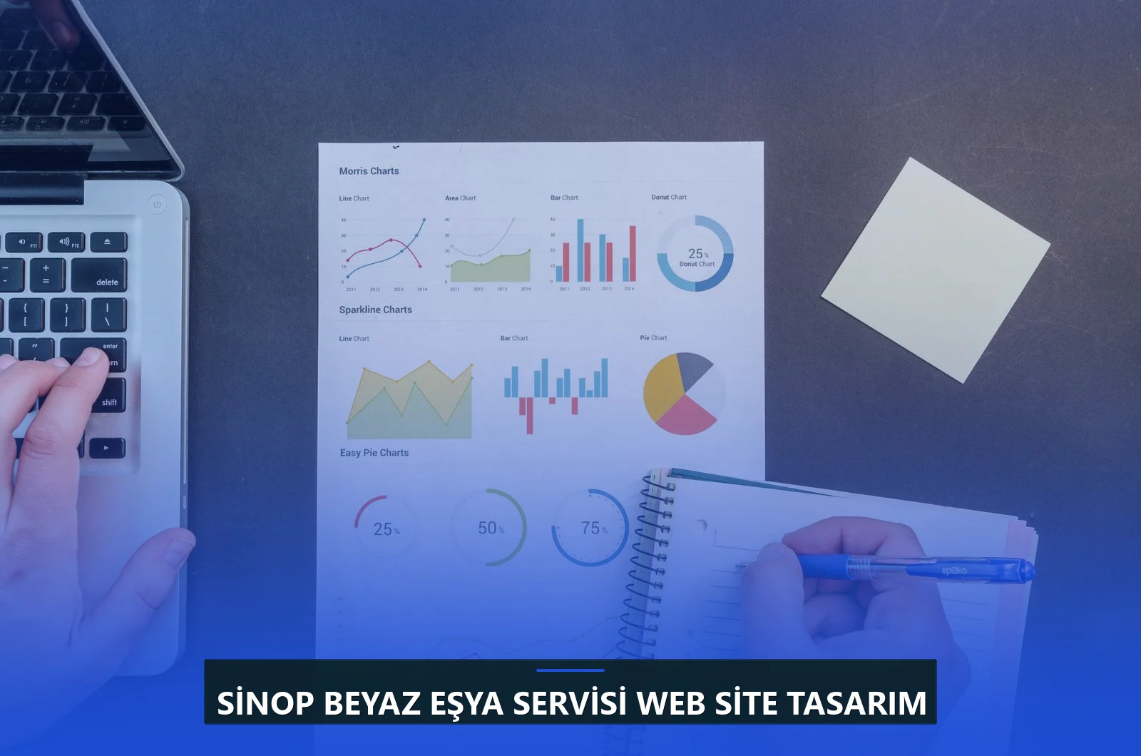 Sinop Beyaz Eşya Servisi Web Site Tasarım