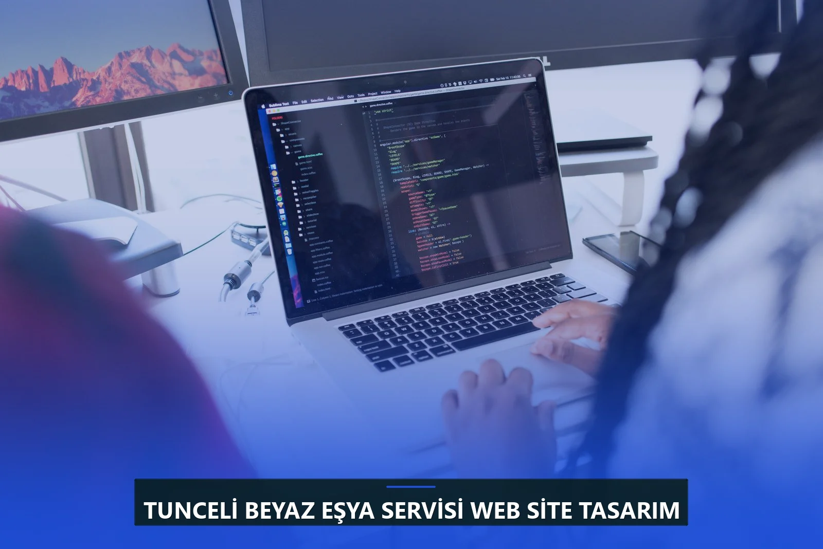 Tunceli Beyaz Eşya Servisi Web Site Tasarım